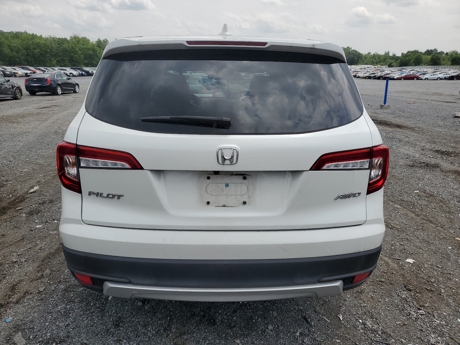 5FNYF6H58LB021625 2020 Honda Pilot Exl