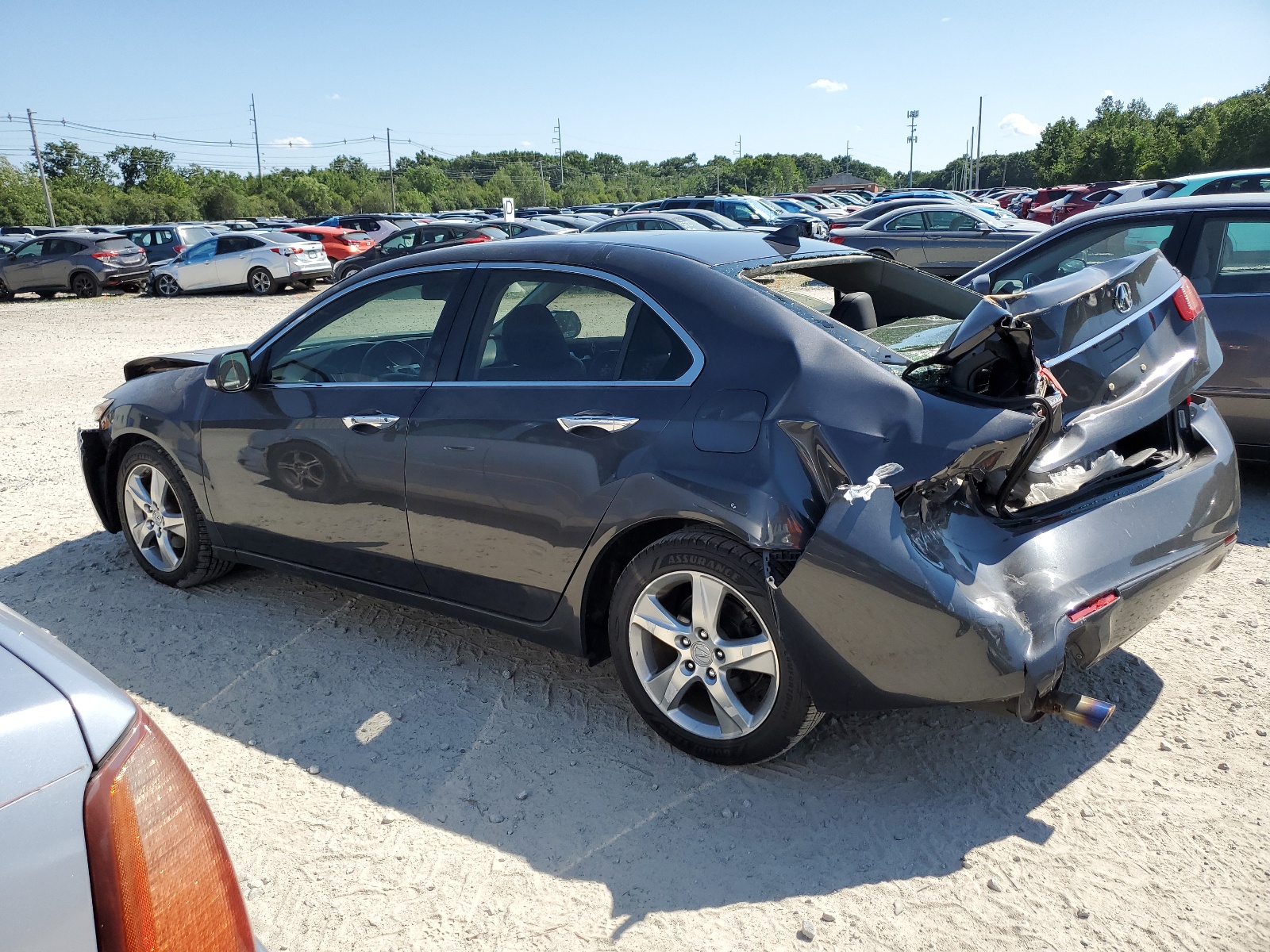 JH4CU2F60DC004710 2013 Acura Tsx Tech