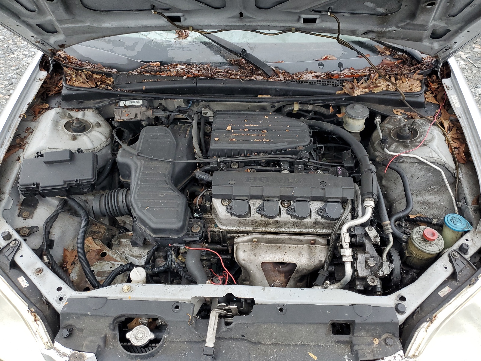 1HGEM22503L083948 2003 Honda Civic Lx