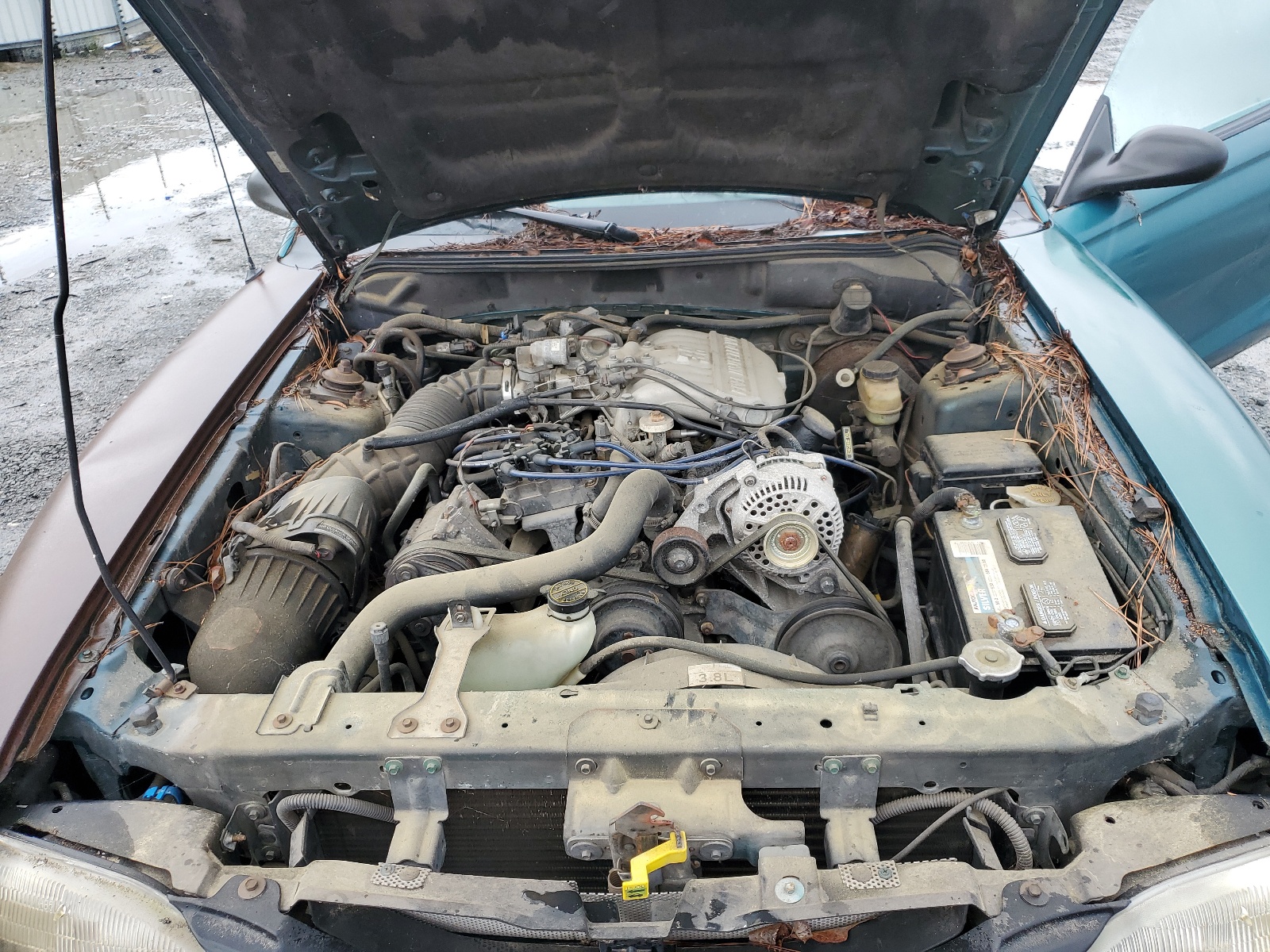 1FALP4041TF101915 1996 Ford Mustang