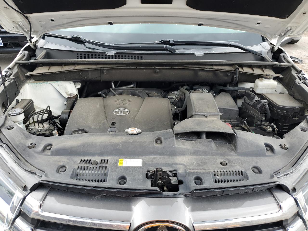 2019 Toyota Highlander Limited VIN: 5TDDZRFH5KS735484 Lot: 58977824