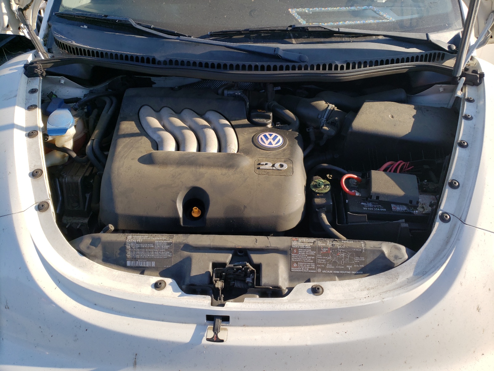 3VWCK21CX3M436185 2003 Volkswagen New Beetle Gls