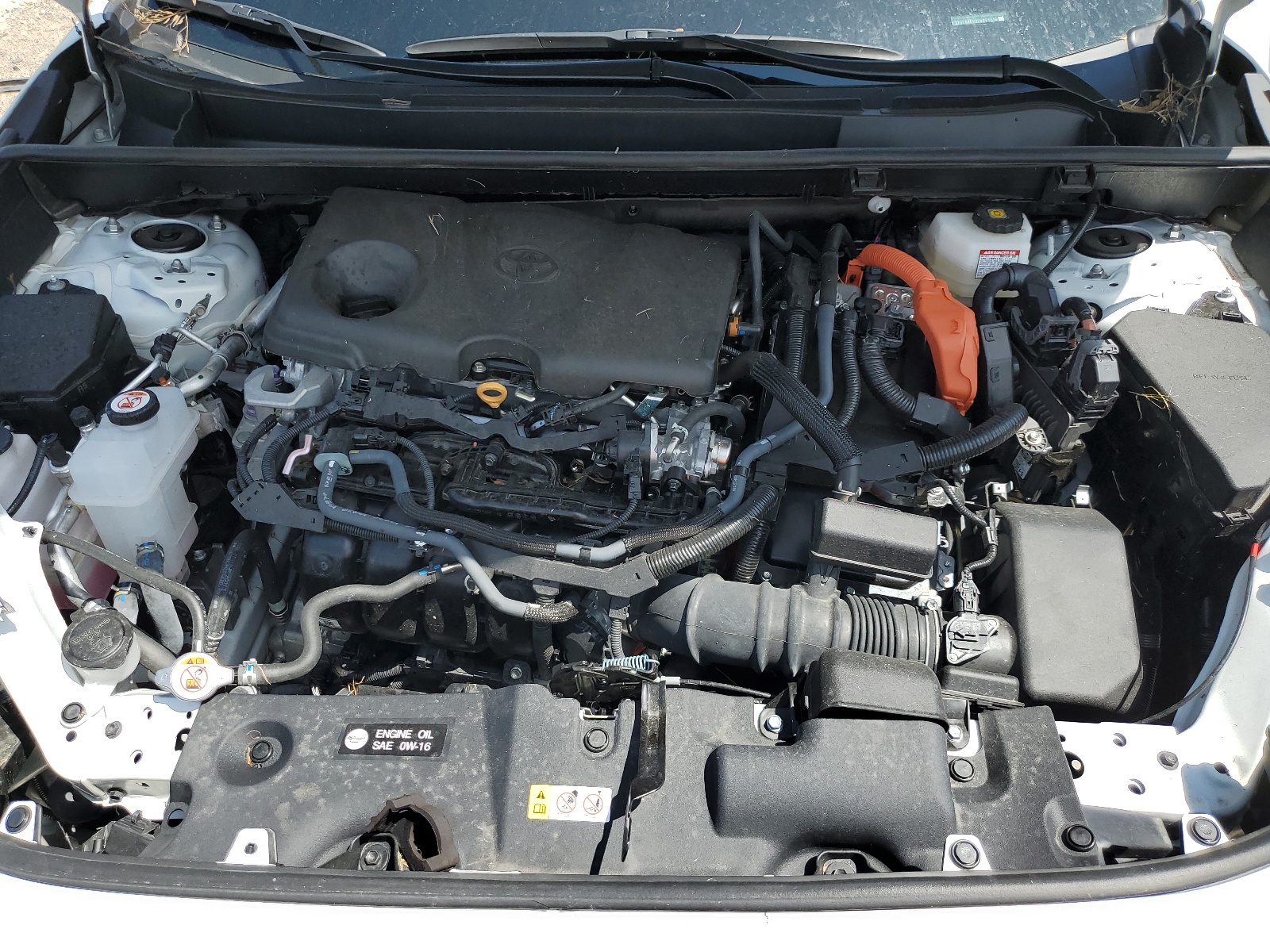 2T3E6RFV0PW041116 2023 Toyota Rav4 Xse