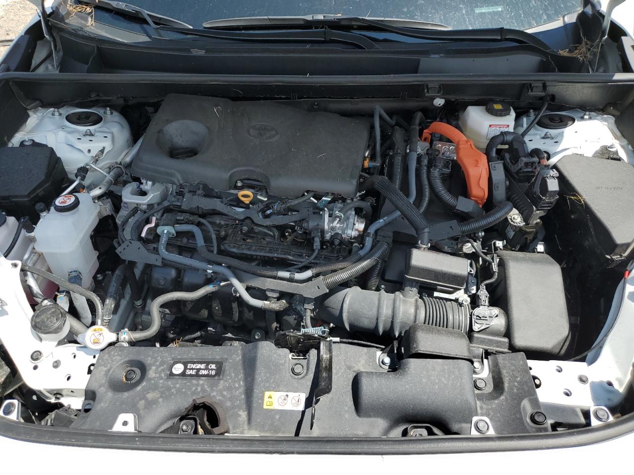 2023 Toyota Rav4 Xse VIN: 2T3E6RFV0PW041116 Lot: 64499054