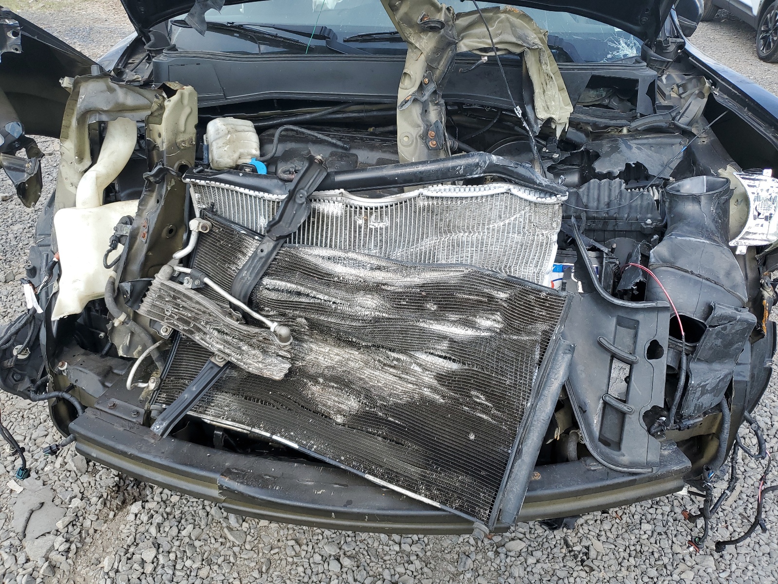 5FNYF48609B015310 2009 Honda Pilot Exl