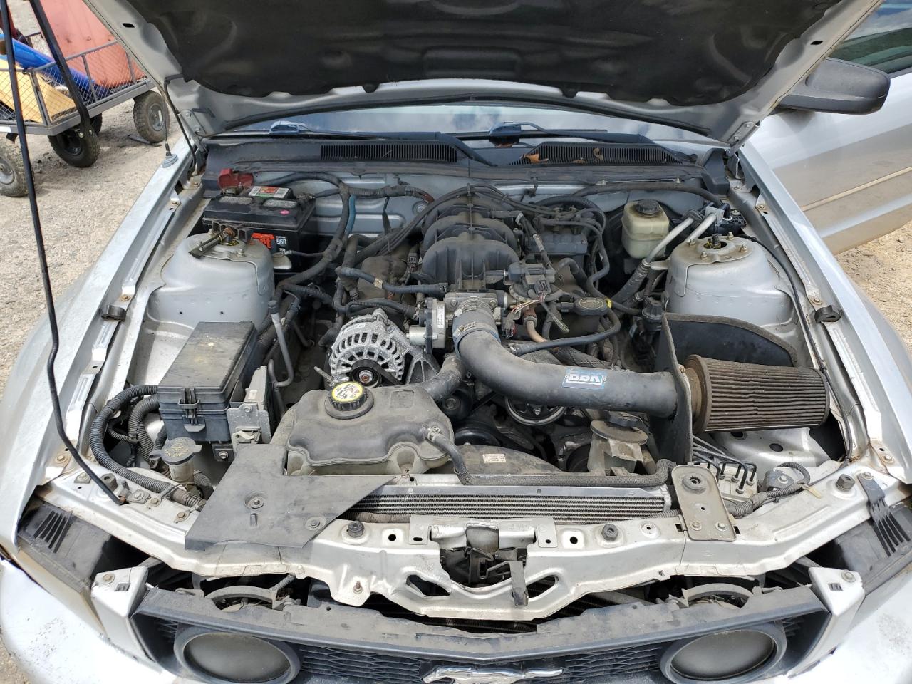 2008 Ford Mustang VIN: 1ZVHT80N985188162 Lot: 65151104