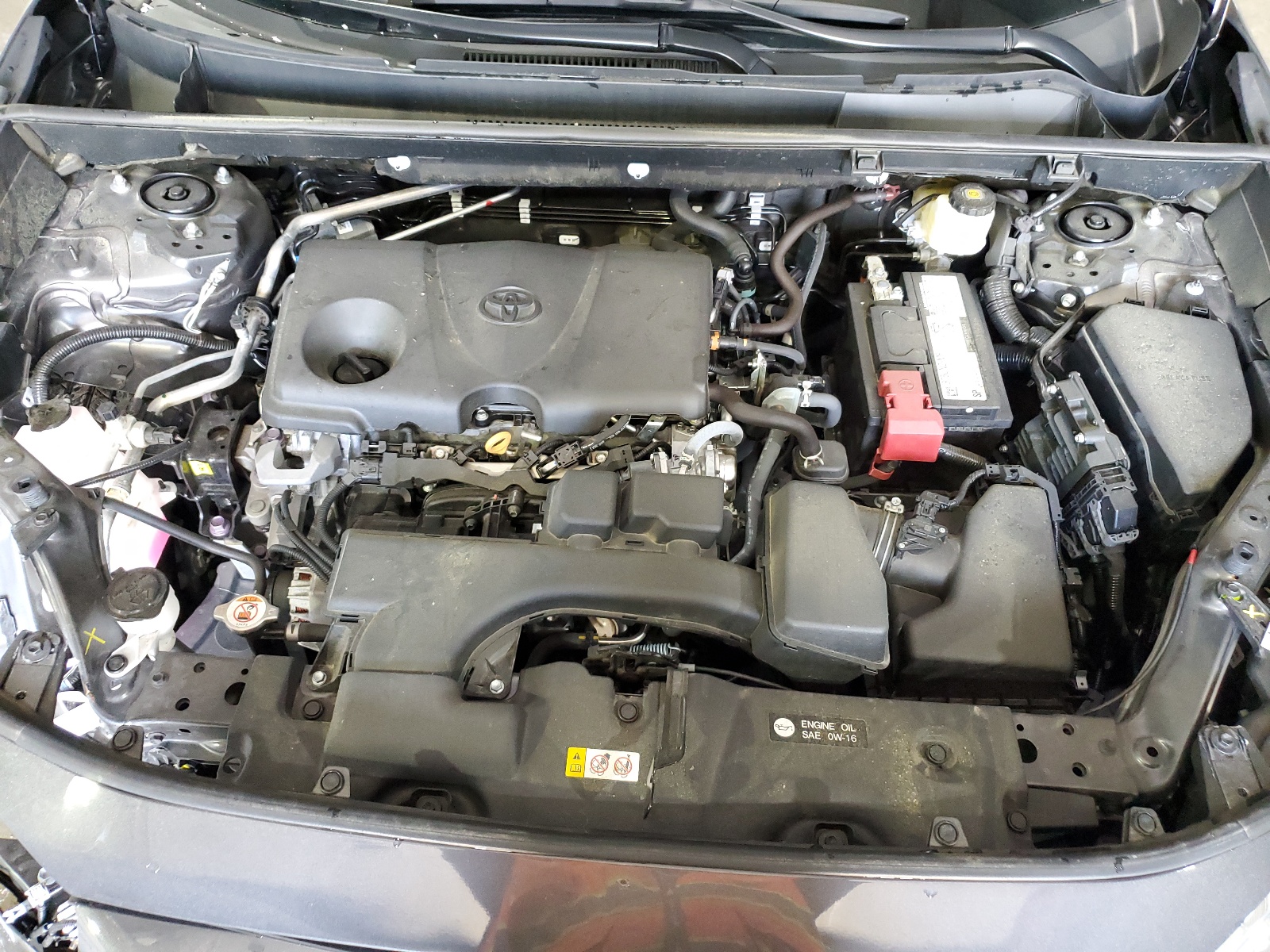 2T3H1RFV7PW283123 2023 Toyota Rav4 Le