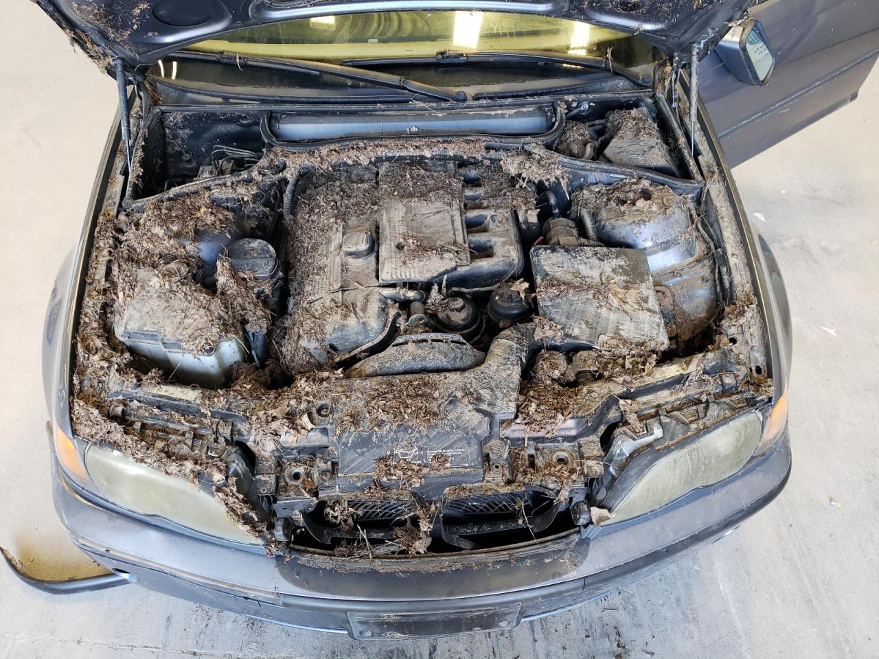 2003 BMW 325 Xi VIN: WBAEU33453PM56353 Lot: 65582254