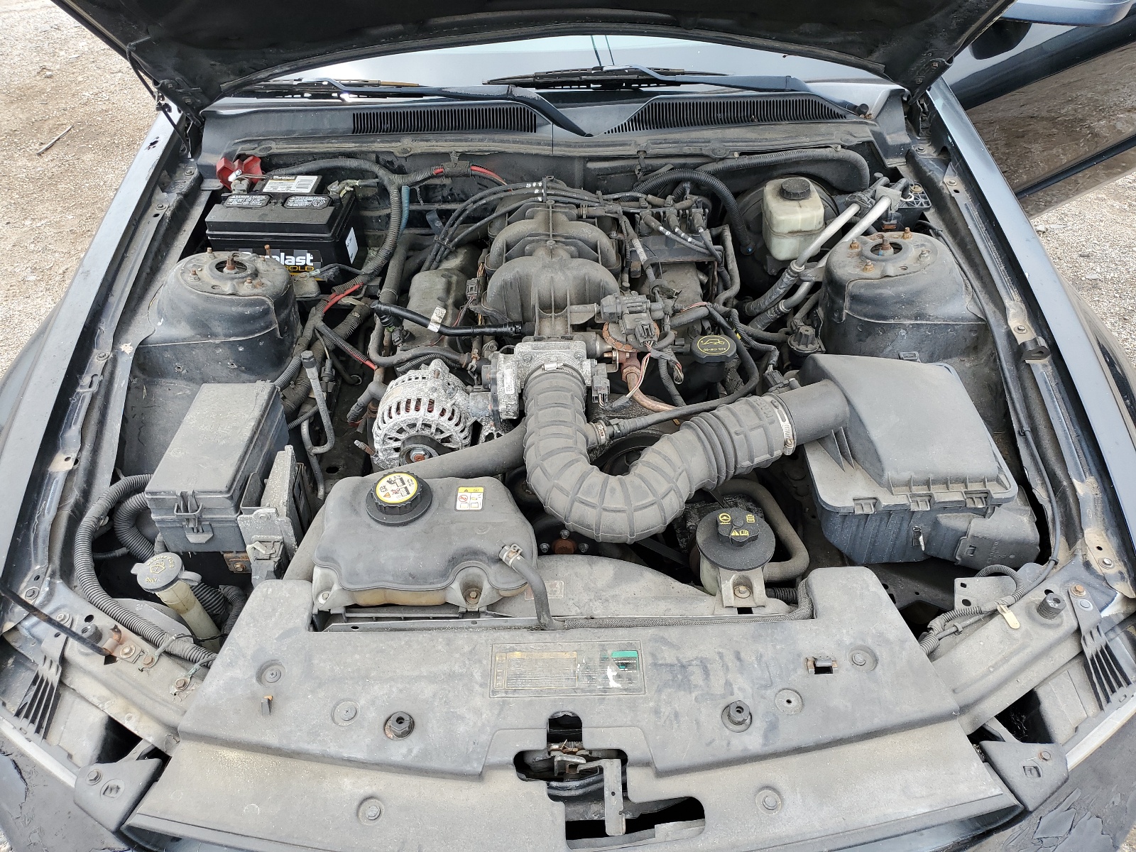 1ZVFT80NX75248312 2007 Ford Mustang