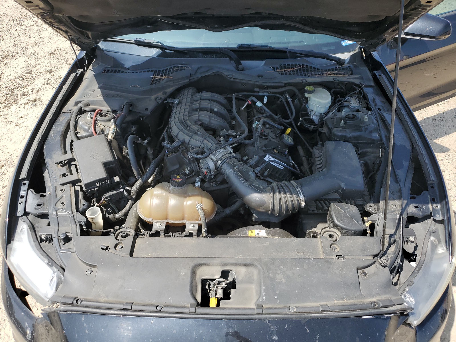 1FA6P8AMXF5319719 2015 Ford Mustang