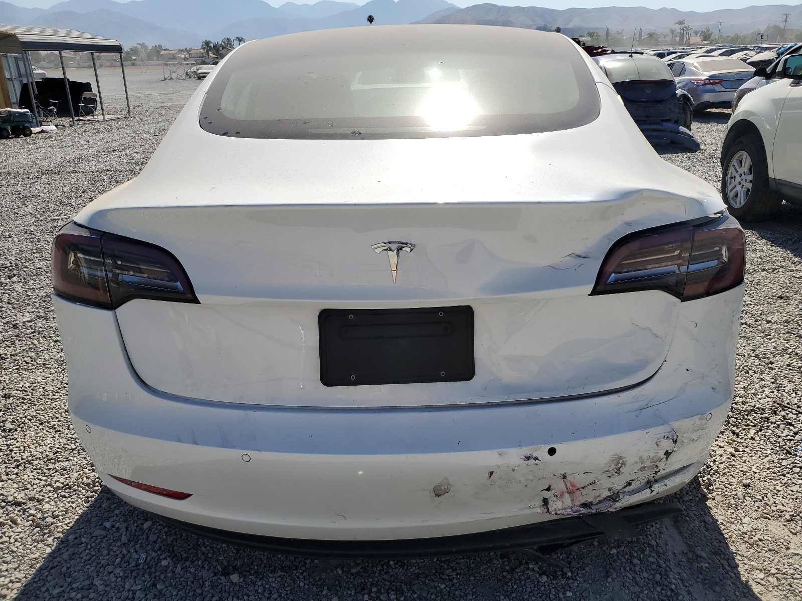 5YJ3E1EA9LF706167 2020 Tesla Model 3