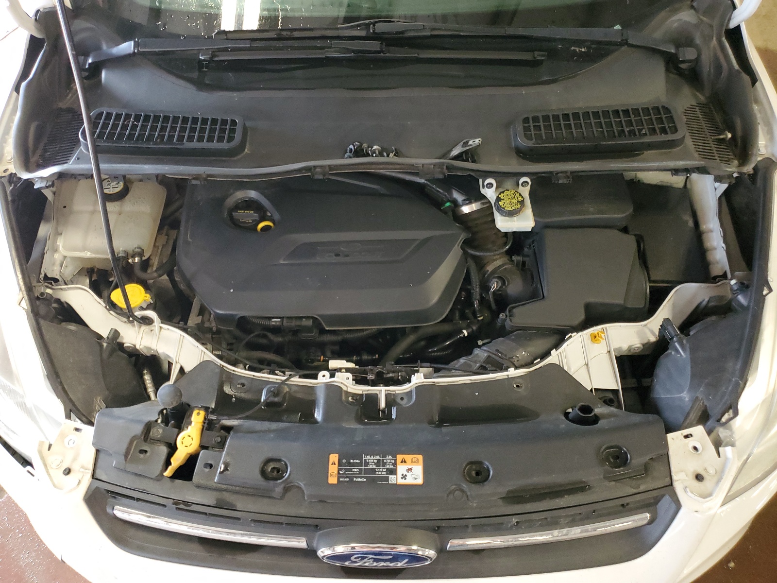 1FMCU0GX2EUE24733 2014 Ford Escape Se