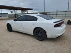 2023 Dodge Charger Sxt zu verkaufen in Temple, TX - Hail