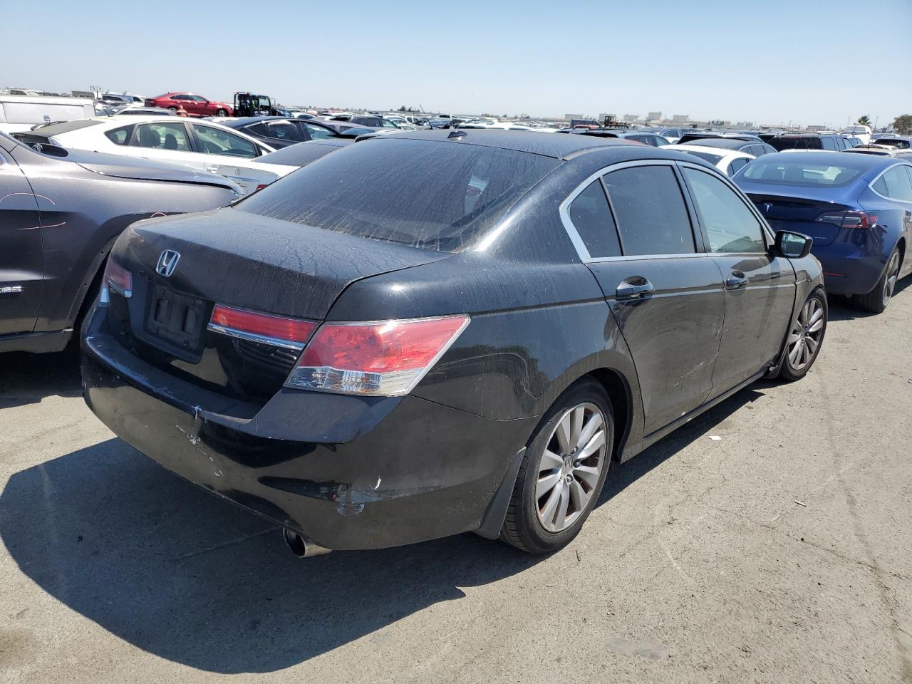 1HGCP2F86BA113628 2011 Honda Accord Exl