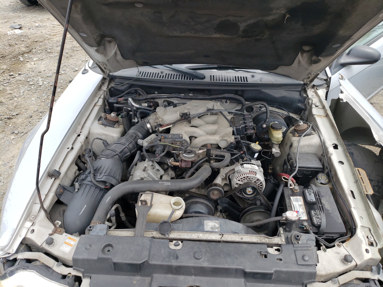 1FAFP4041YF281319 2000 Ford Mustang