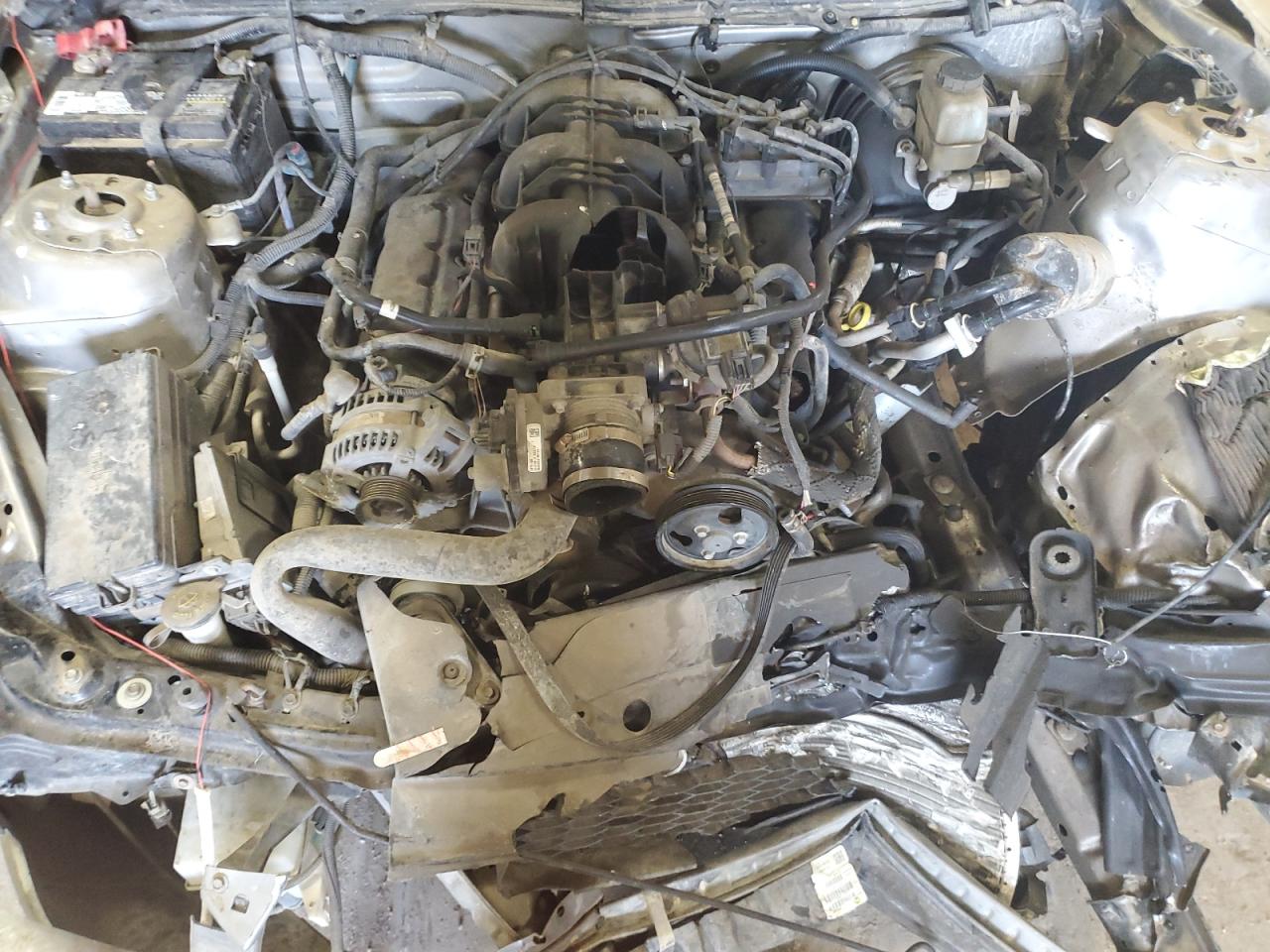 2009 Ford Mustang VIN: 1ZVHT80N595117199 Lot: 62417404