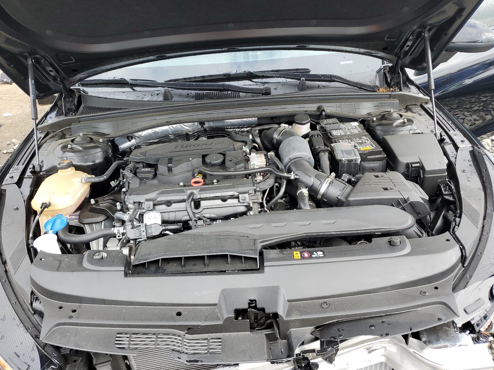 5XXG14J23RG262724 2024 Kia K5 Lxs