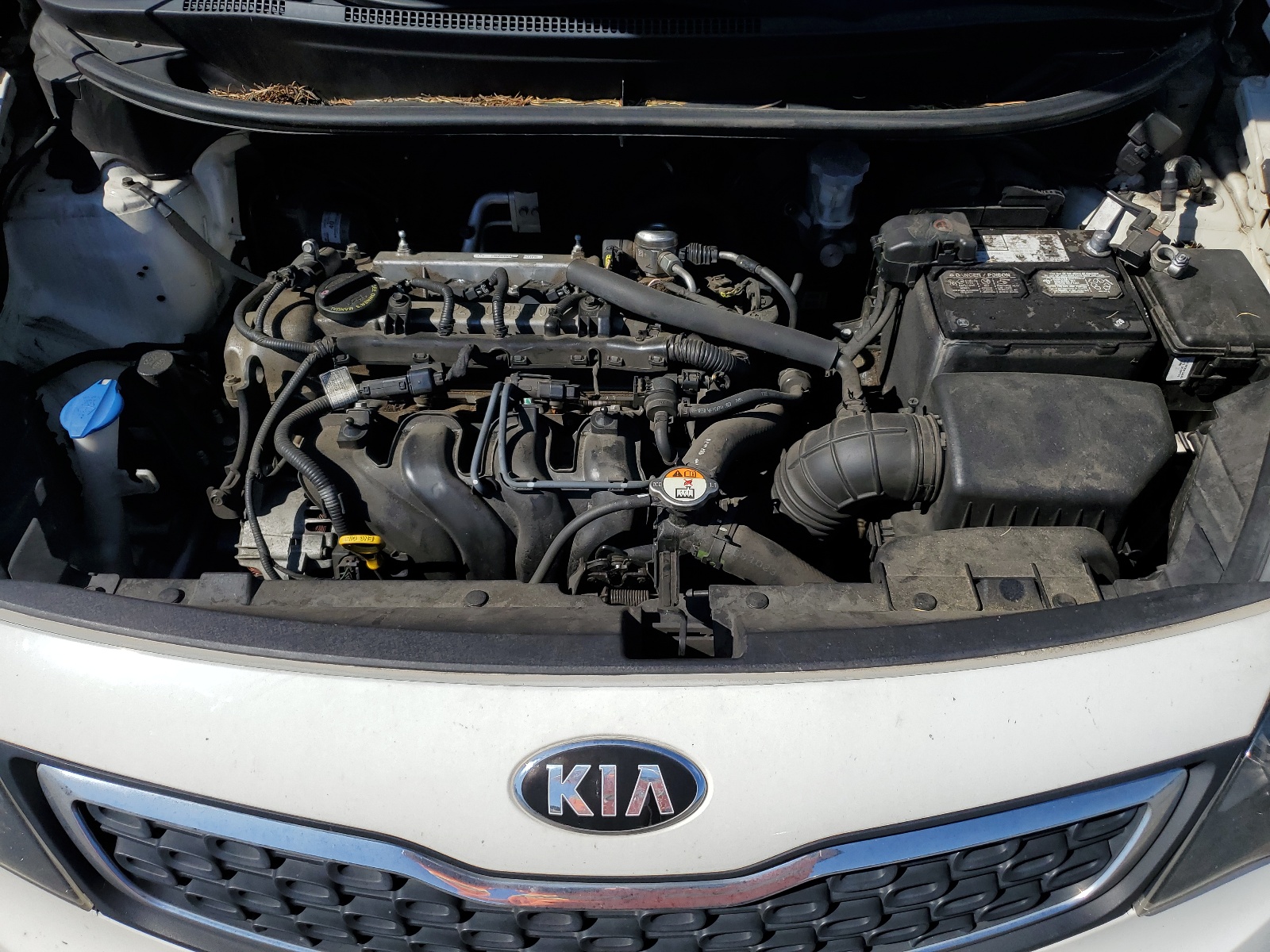 KNADN4A38D6164261 2013 Kia Rio Ex