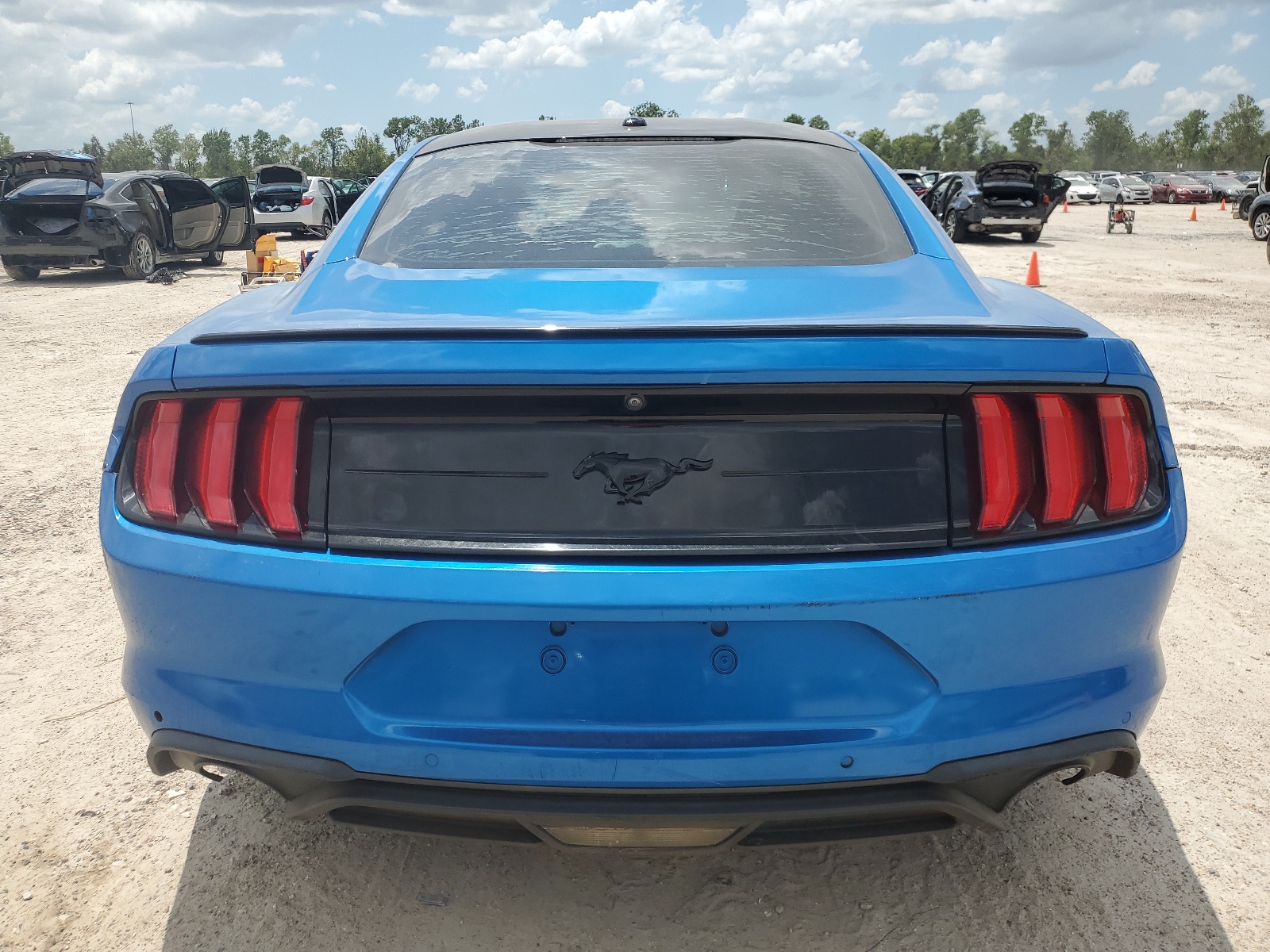 2019 Ford Mustang vin: 1FA6P8TH4K5185509