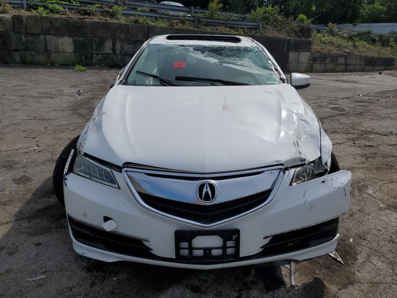 2016 Acura Tlx Tech VIN: 19UUB1F50GA006326 Lot: 61613664