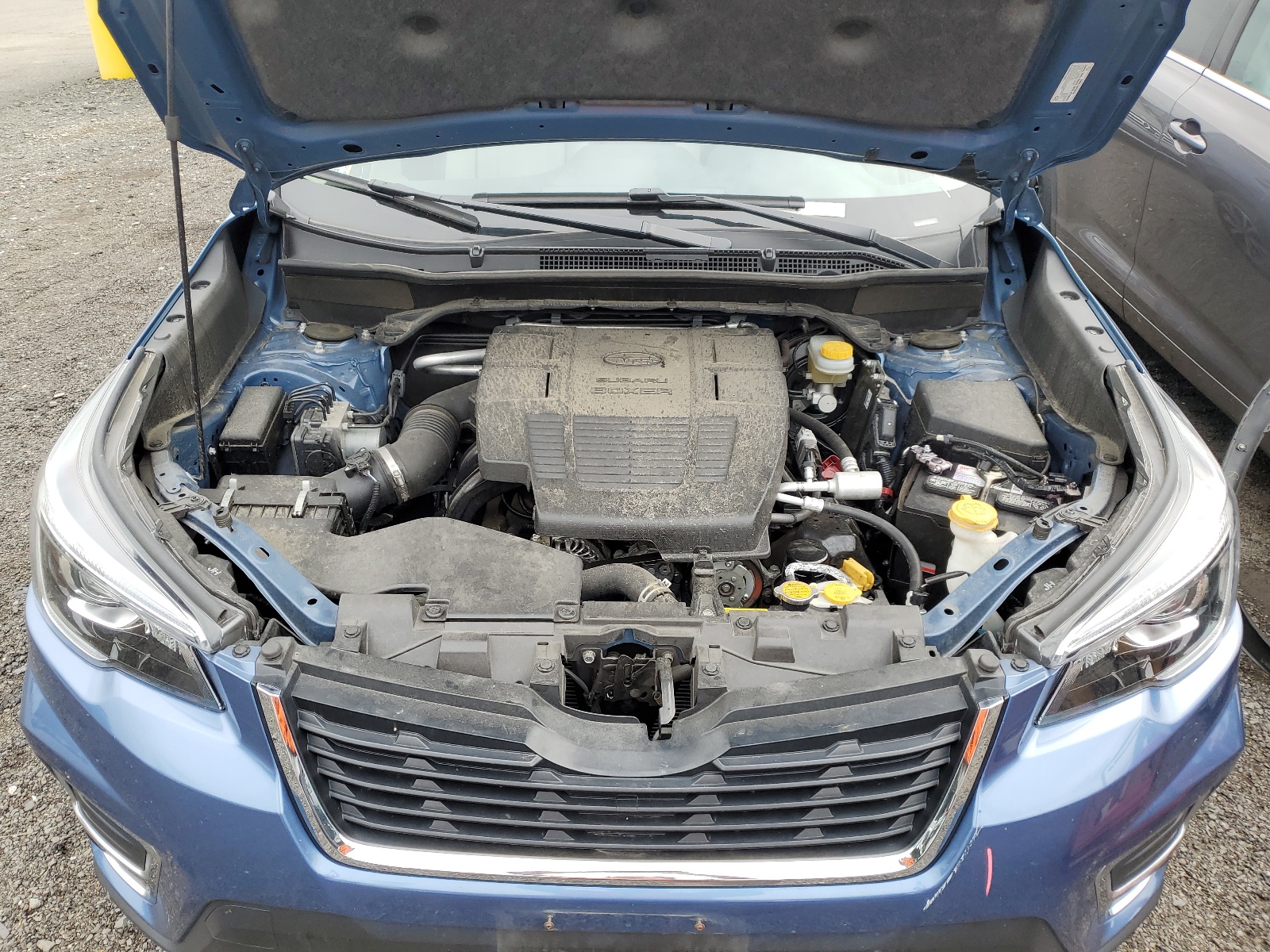 JF2SKAUC3KH509843 2019 Subaru Forester Limited