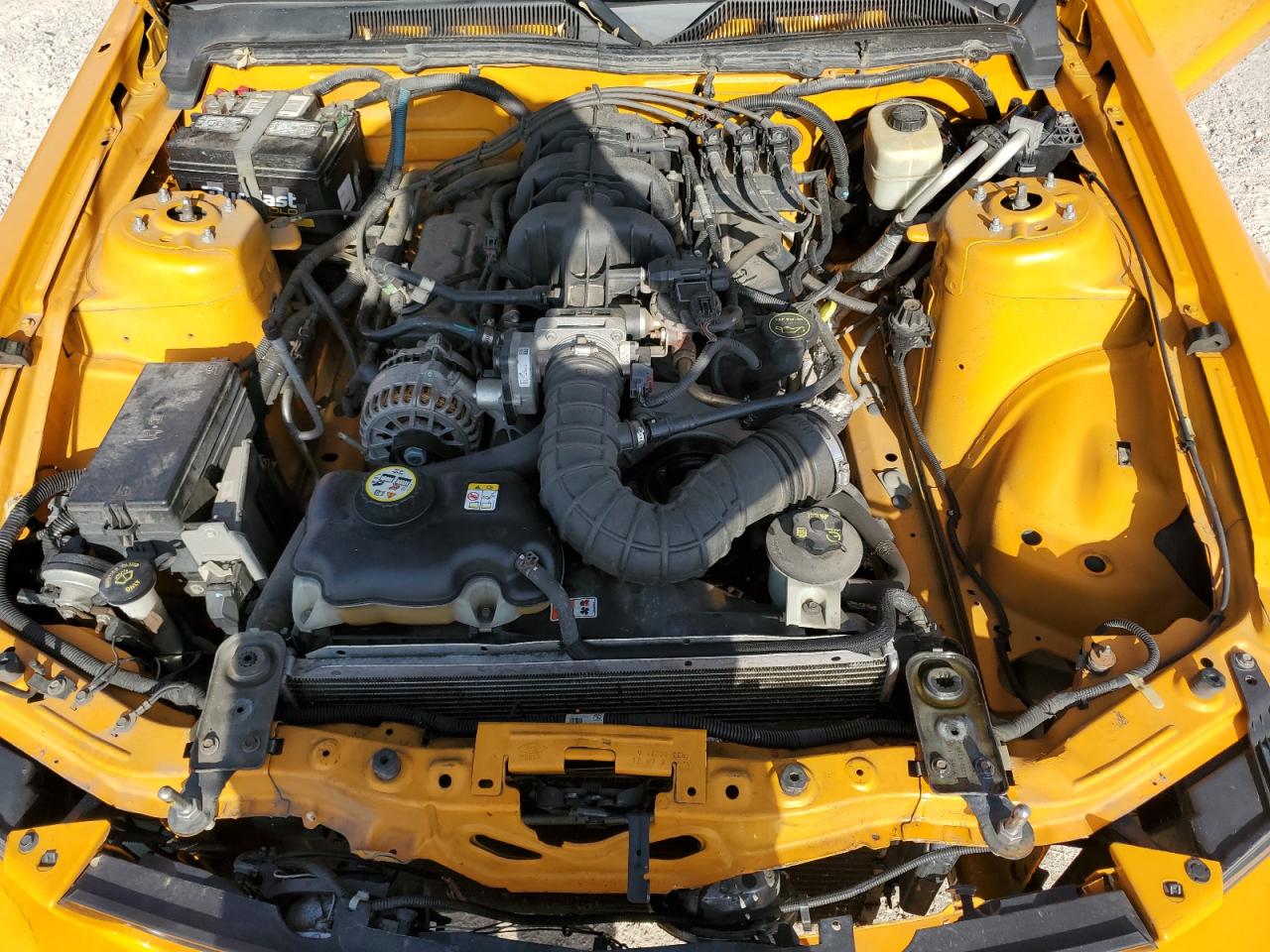 2008 Ford Mustang VIN: 1ZVHT80N185164373 Lot: 63480504