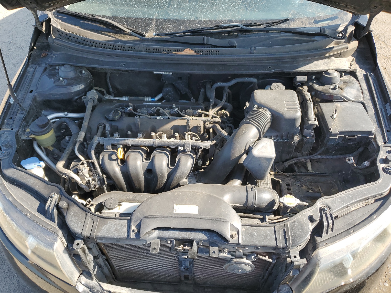 KNAFU4A27A5054953 2010 Kia Forte Ex