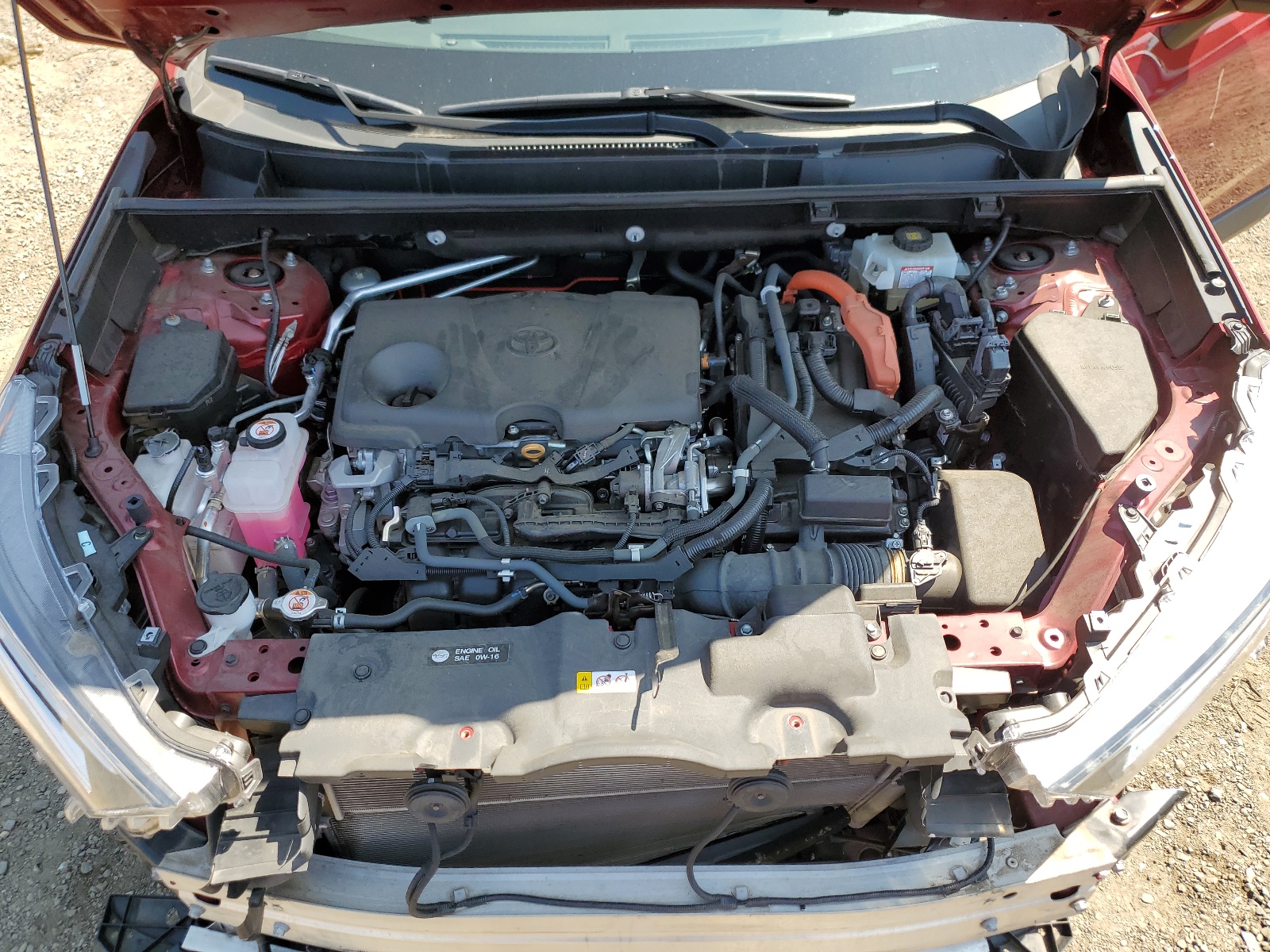 2T3RWRFVXKW046172 2019 Toyota Rav4 Xle