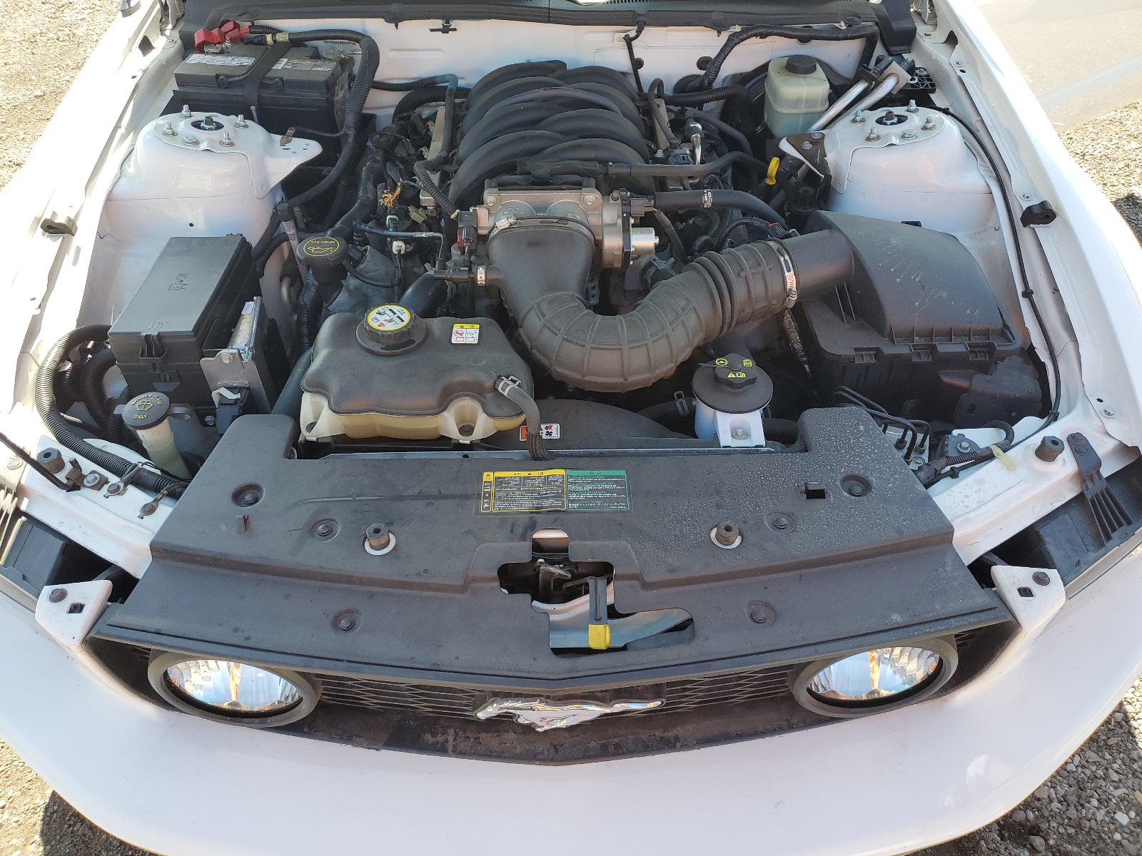 1ZVHT85H065125872 2006 Ford Mustang Gt