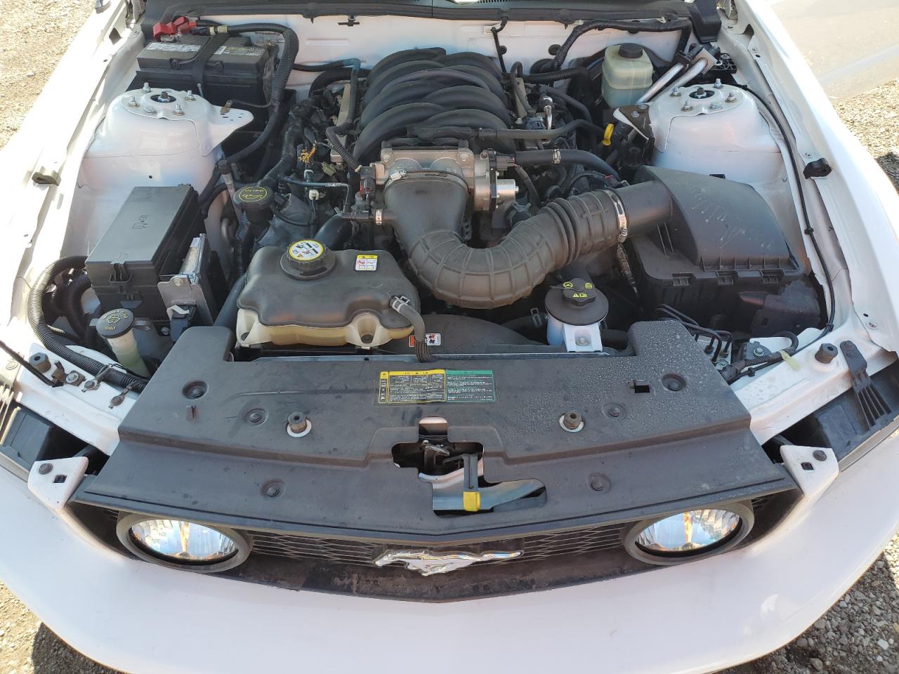 2006 Ford Mustang Gt VIN: 1ZVHT85H065125872 Lot: 61927254