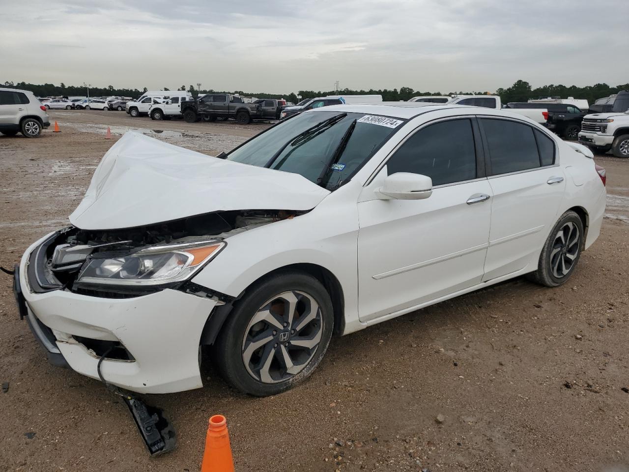 1HGCR2F81HA145549 2017 HONDA ACCORD - Image 1