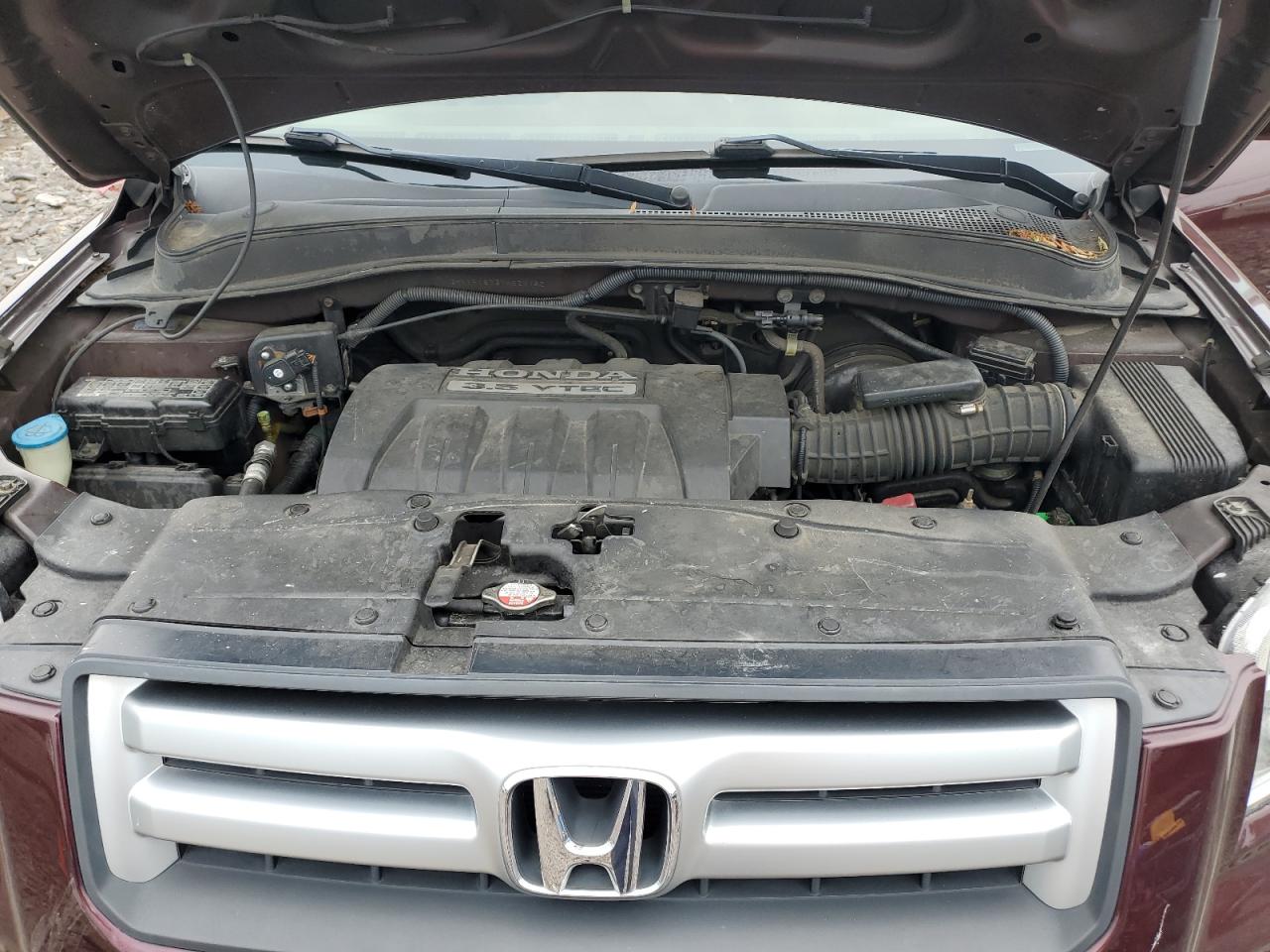 2007 Honda Pilot Exl VIN: 2HKYF18737H524782 Lot: 64397504