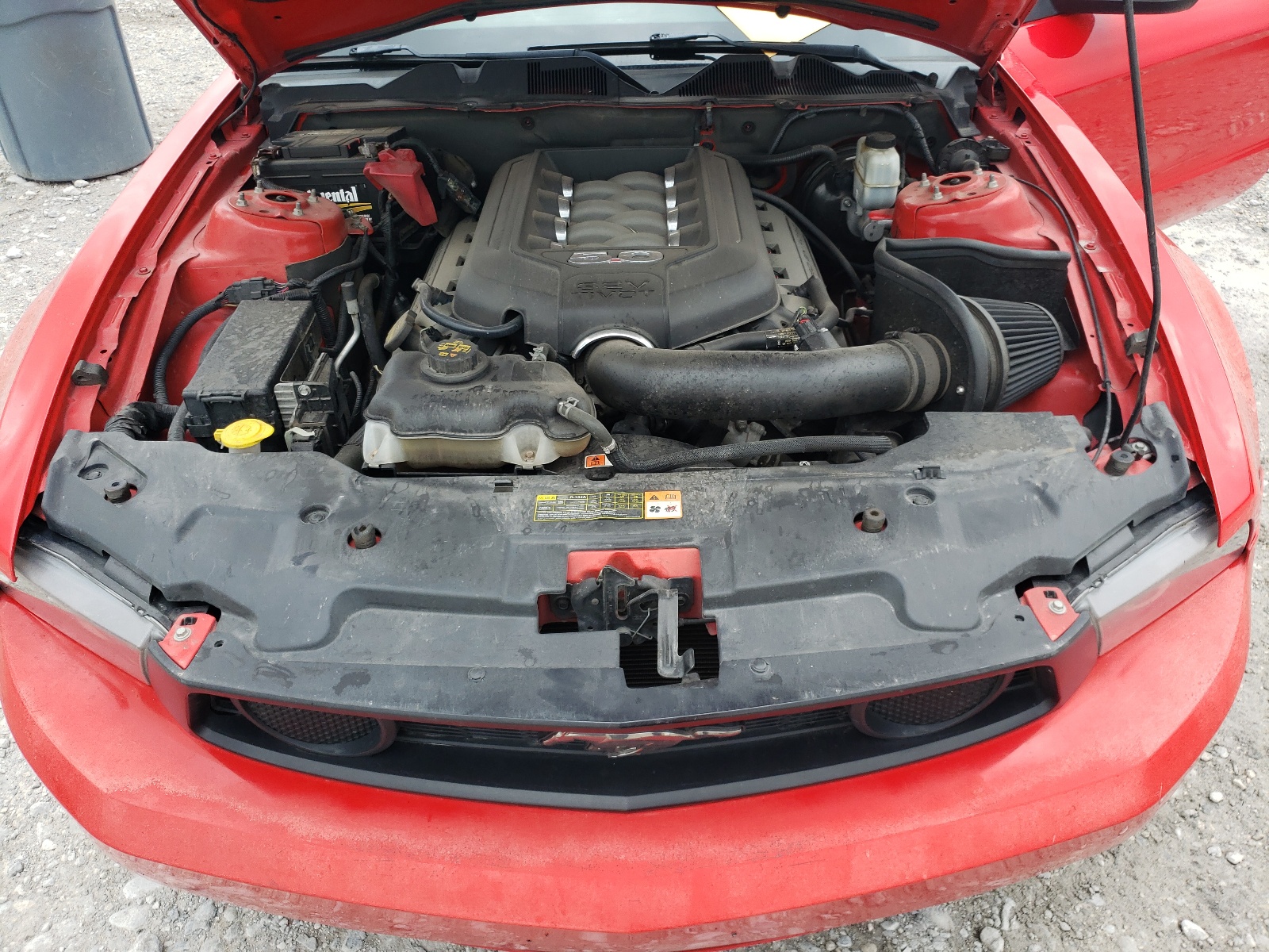 1ZVBP8CF9C5206599 2012 Ford Mustang Gt