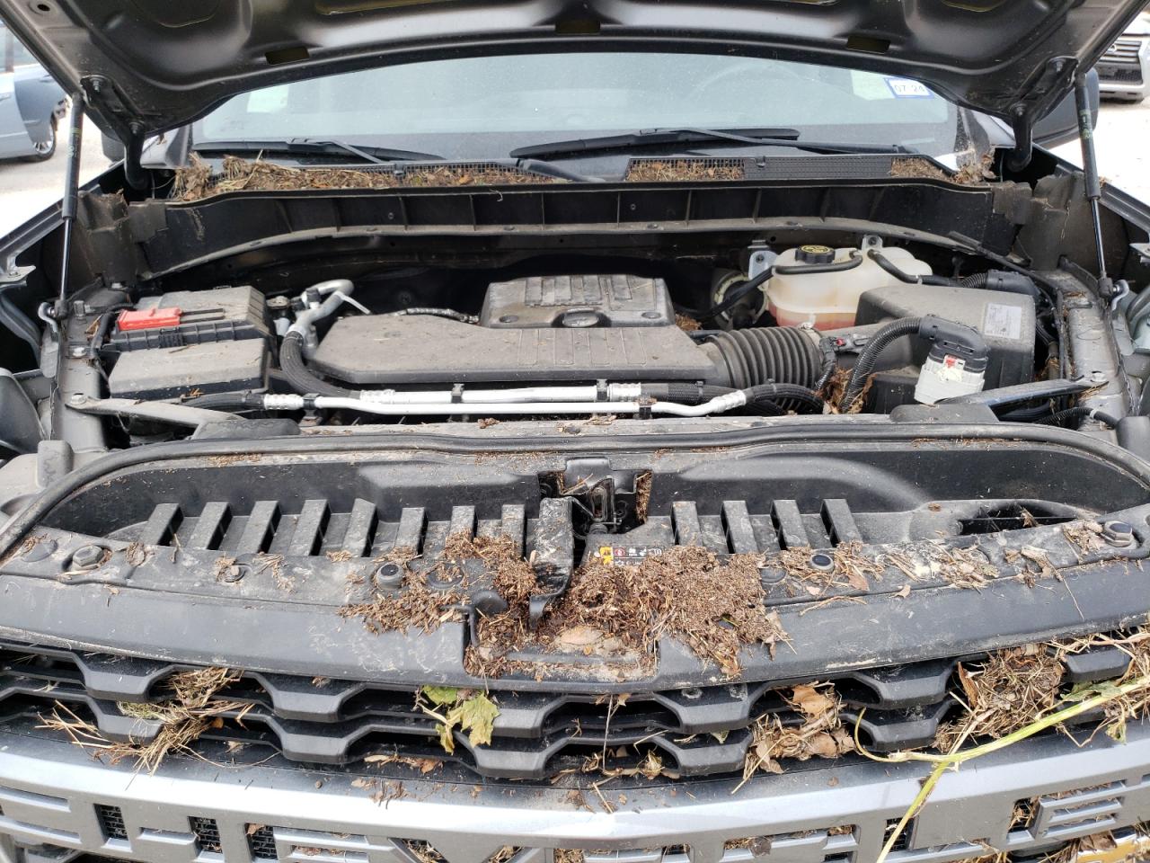 2021 Chevrolet Silverado K1500 Custom VIN: 3GCPYBEK2MG404321 Lot: 64938654