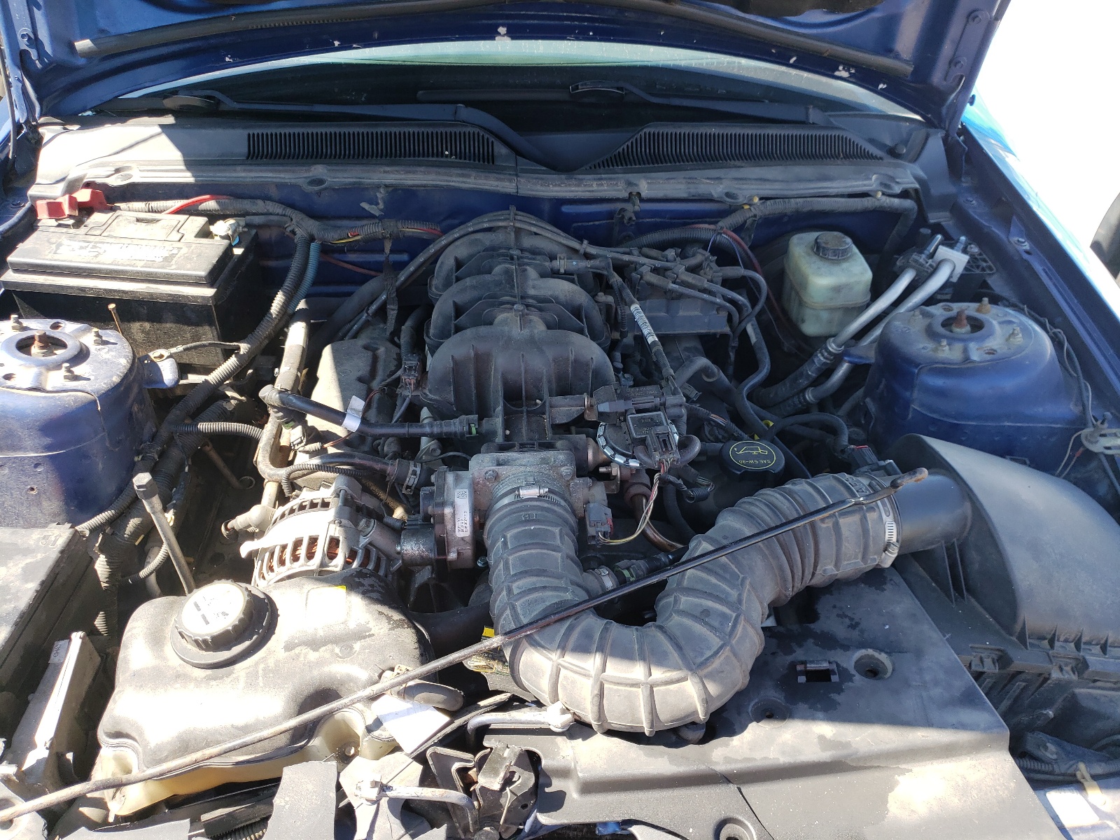 1ZVFT84N275205836 2007 Ford Mustang