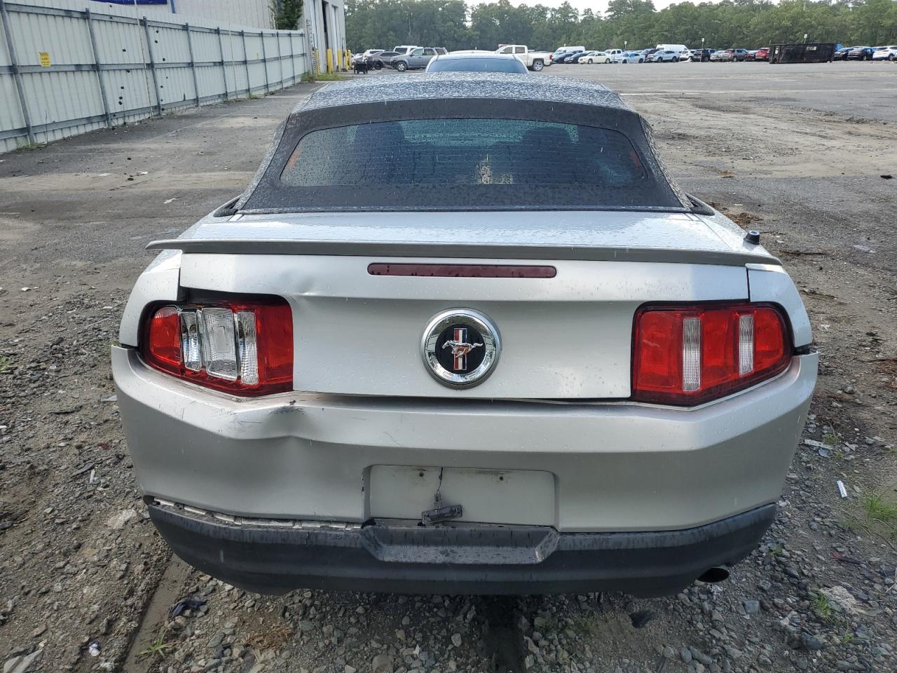 2010 Ford Mustang VIN: 1ZVBP8EN8A5150009 Lot: 64247994