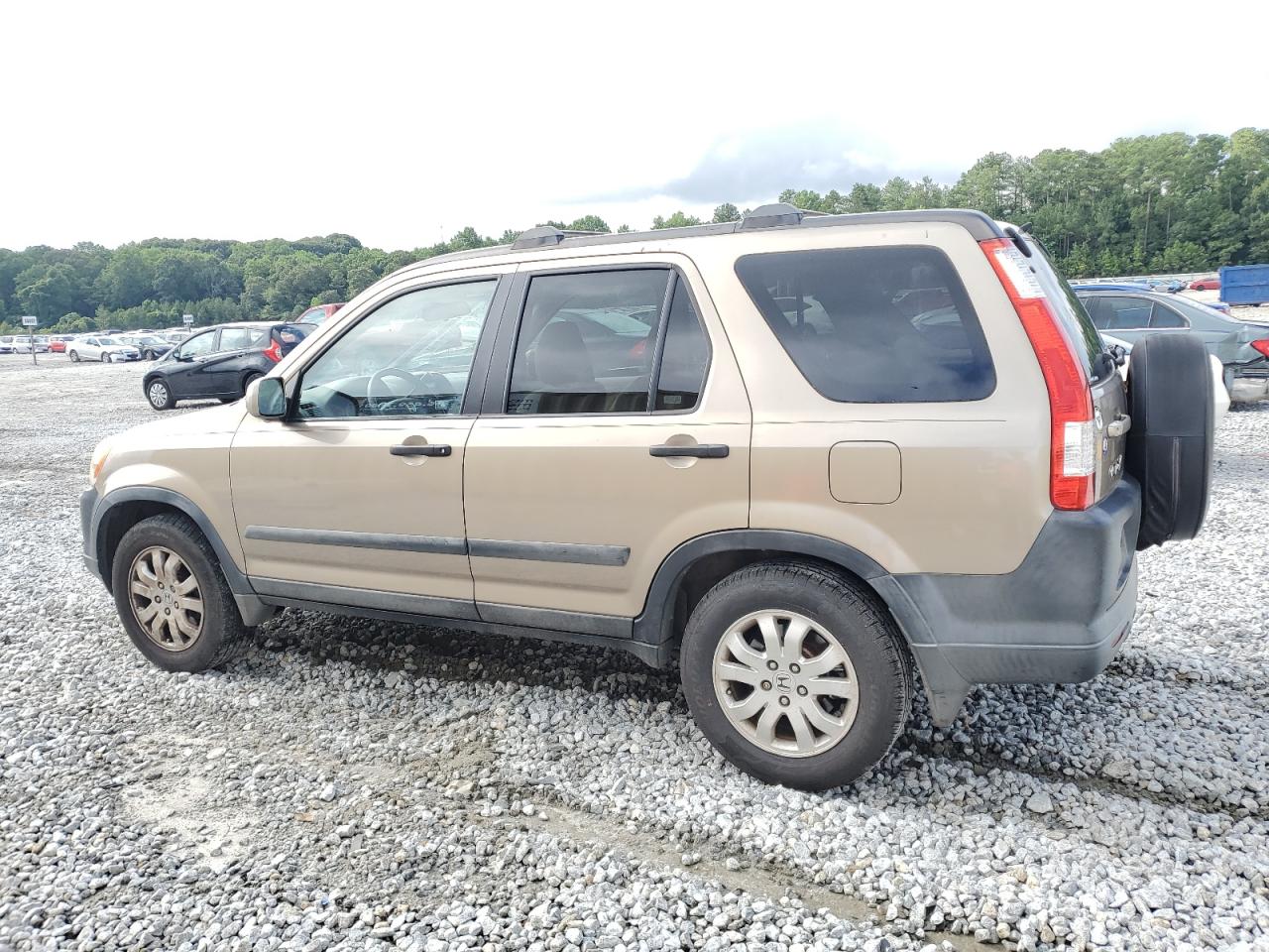 2005 Honda Cr-V Ex VIN: SHSRD78855U313464 Lot: 63685594