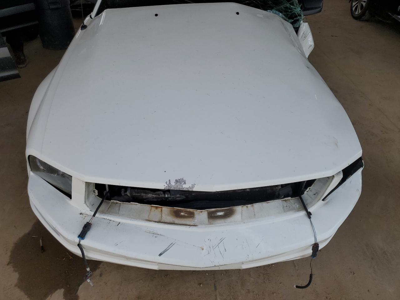 2006 Ford Mustang VIN: 1ZVFT80N165227184 Lot: 49333245