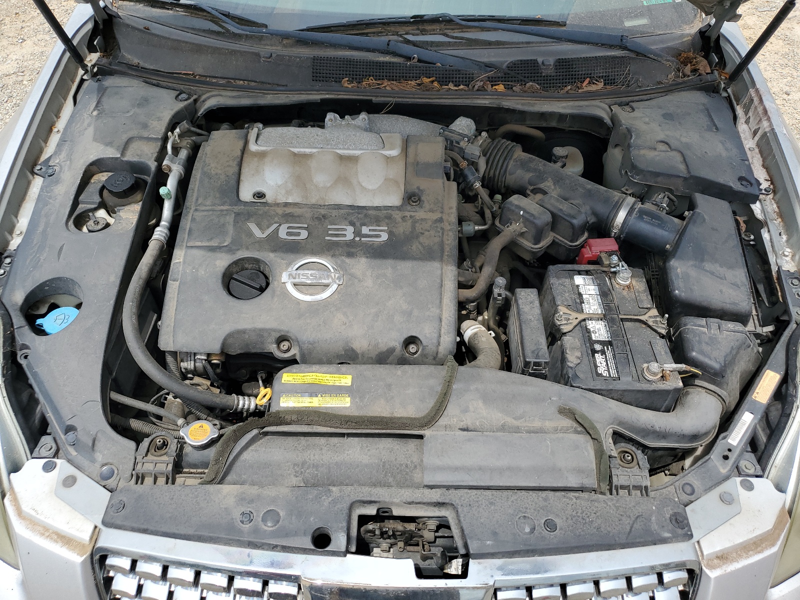 1N4BA41E06C846701 2006 Nissan Maxima Se