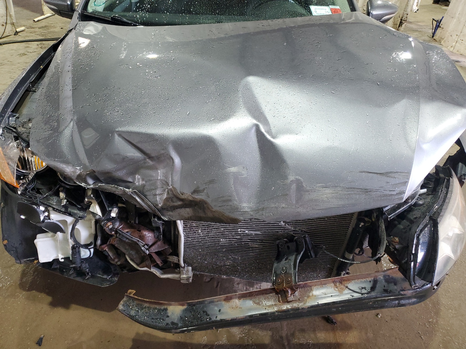 1VWBP7A31CC100999 2012 Volkswagen Passat Se