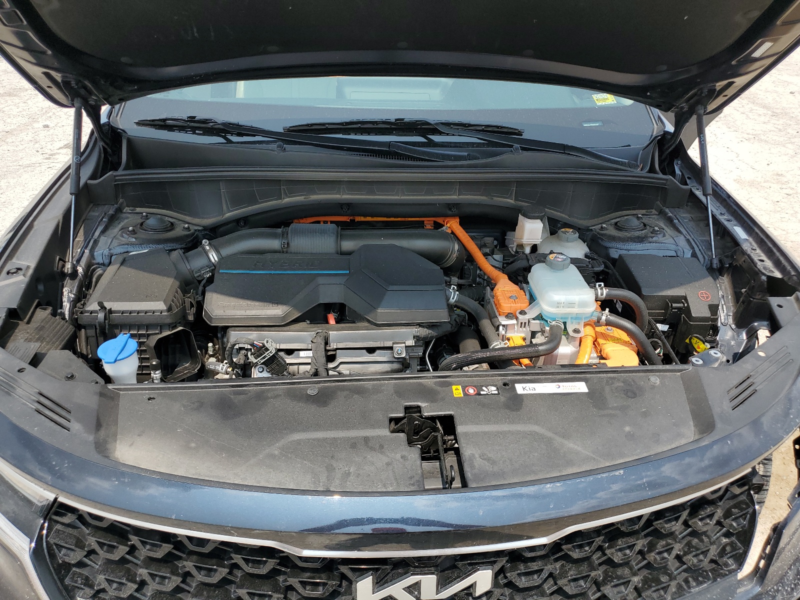 KNDRJDLH5N5066907 2022 Kia Sorento Sx