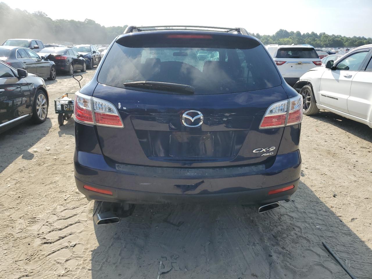 2010 Mazda Cx-9 VIN: JM3TB3MV5A0200332 Lot: 61649154