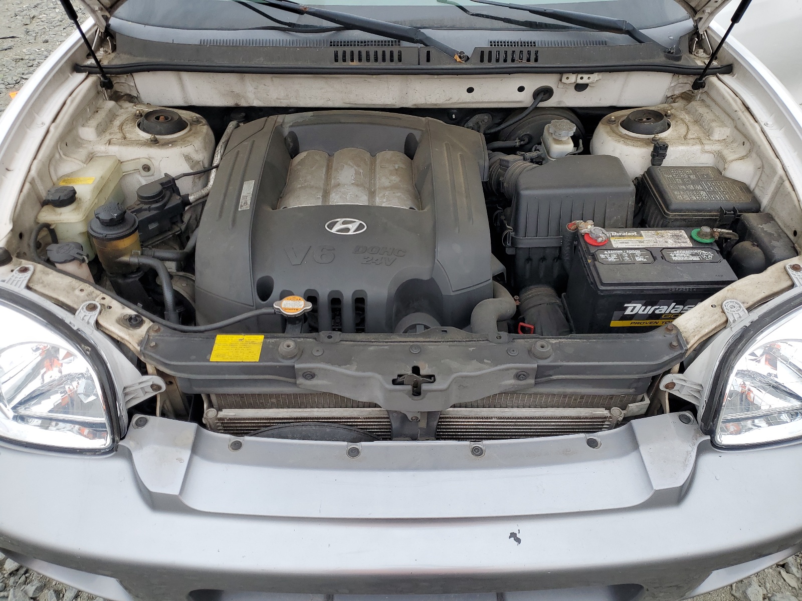 KM8SC13DX3U358302 2003 Hyundai Santa Fe Gls