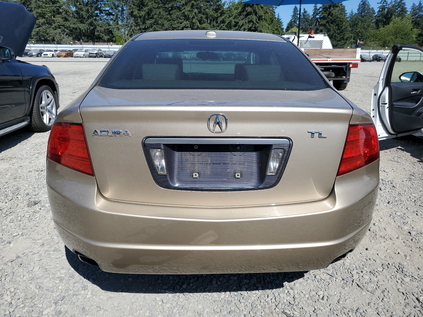 19UUA66225A054302 2005 Acura Tl