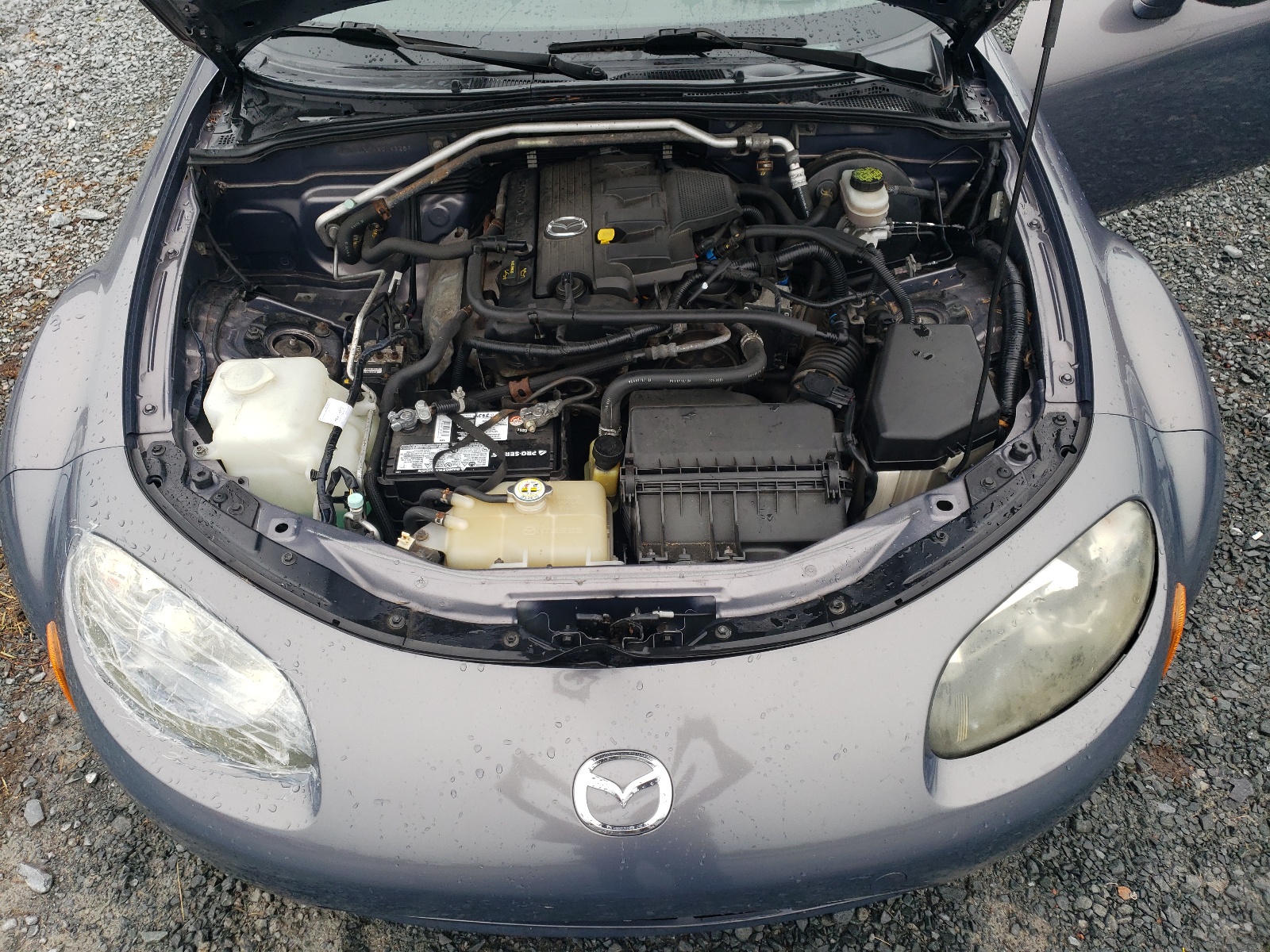 JM1NC16FX80143287 2008 Mazda Mx-5 Miata