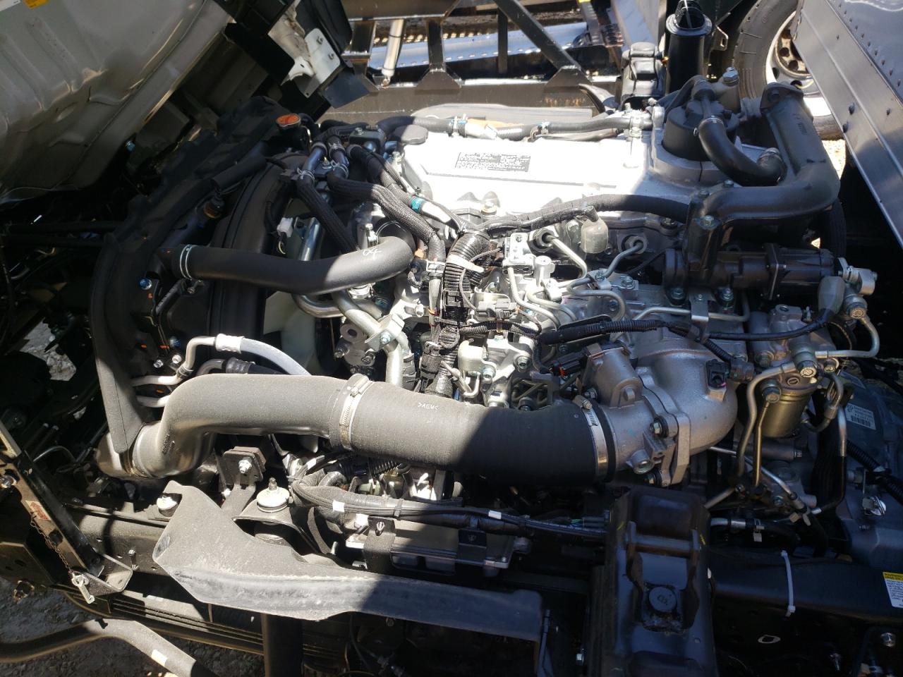 2024 Isuzu Nqr VIN: JALE5W166R7901406 Lot: 62668384