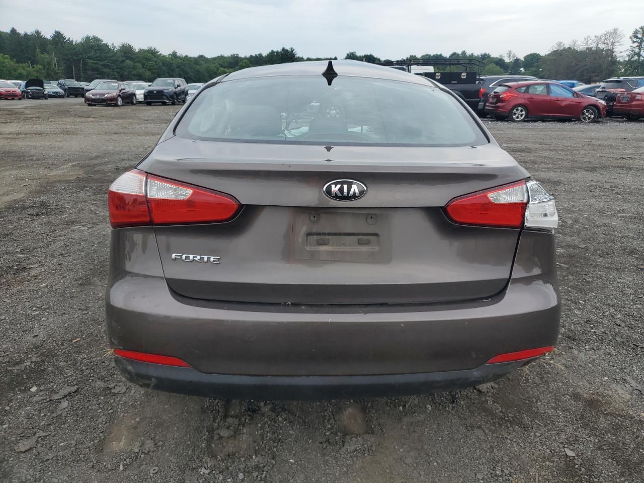 2014 Kia Forte Lx VIN: KNAFX4A69E5189738 Lot: 63385214