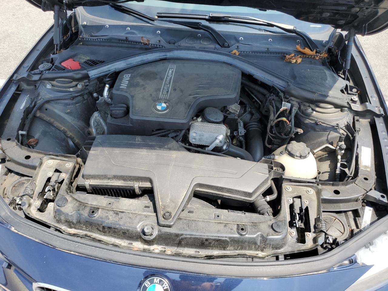 2014 BMW 320 I xDrive VIN: WBA3C3G57ENR25518 Lot: 65122204