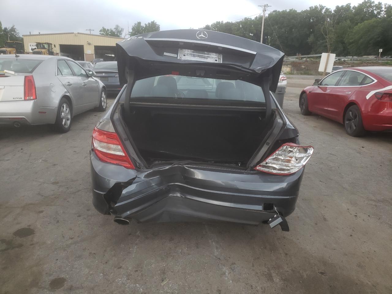 2010 Mercedes-Benz C 300 VIN: WDDGF5EB8AF496917 Lot: 65091204