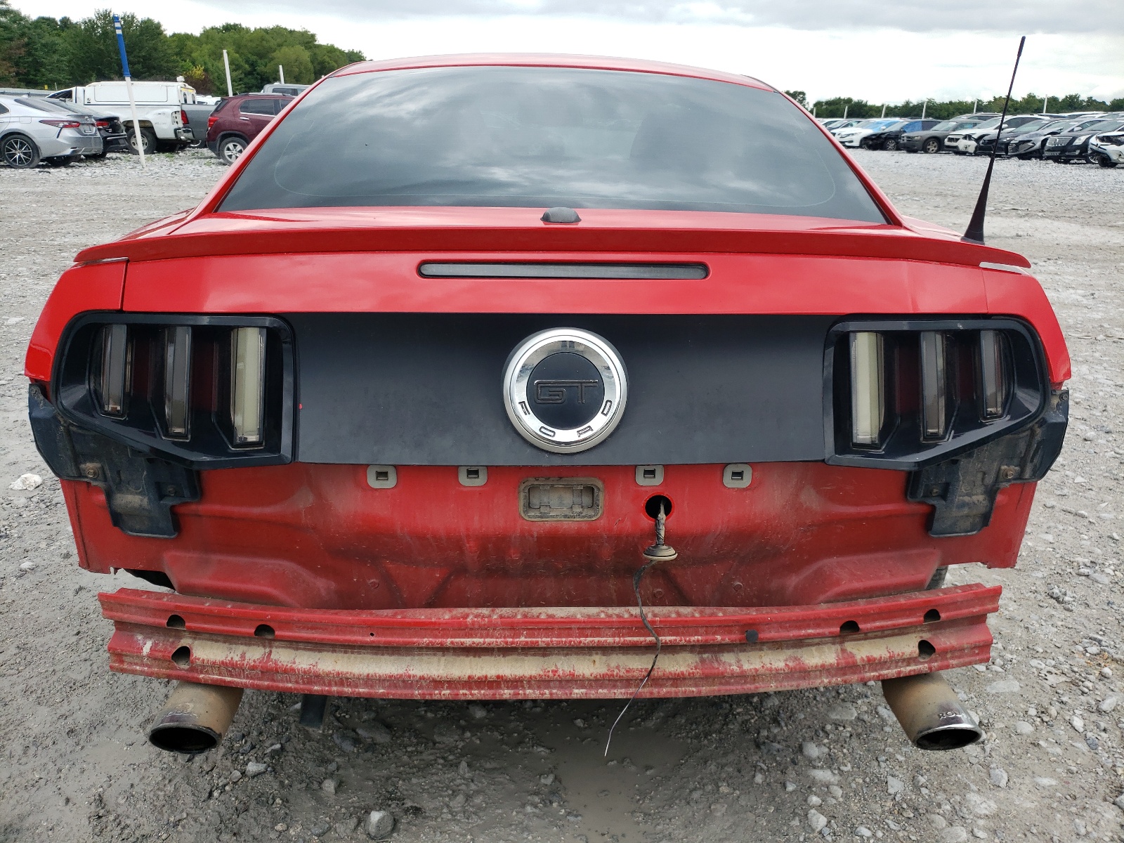 1ZVBP8CF9C5206599 2012 Ford Mustang Gt